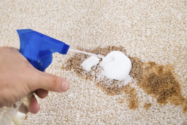 Person Cleaning Carpet Close-up Of Person's Hand Spraying Cleaning Agent On Carpet